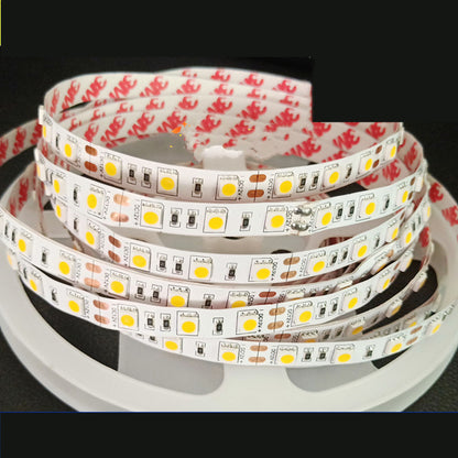 12V LED Strip Lights Belt